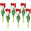 Tulip Arrangement