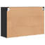 Shoe Cabinet-307641257