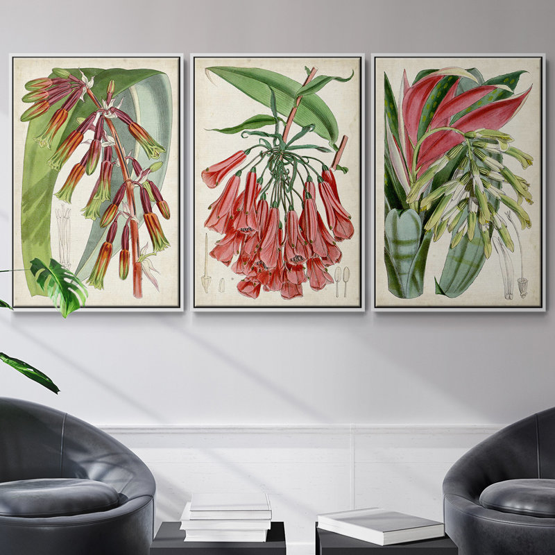 Tropical Gems I - ensemble de 3 reproductions sur toile, H 36 po x l 72 po, Blanc