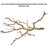  Natural California Driftwood Branch, 36-Inch
