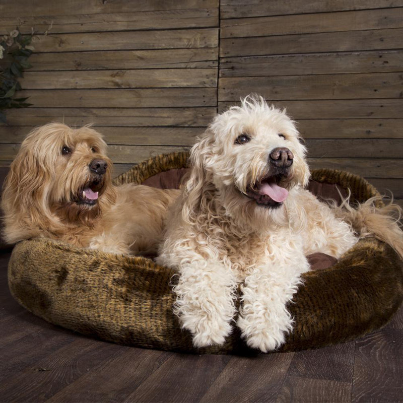 Cub Polyester Pet Bed, Brown/Saddle Brown