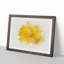 Sole Yellow Daffodil in Abstract - Picture Frame Painting Print-55726431-55726430