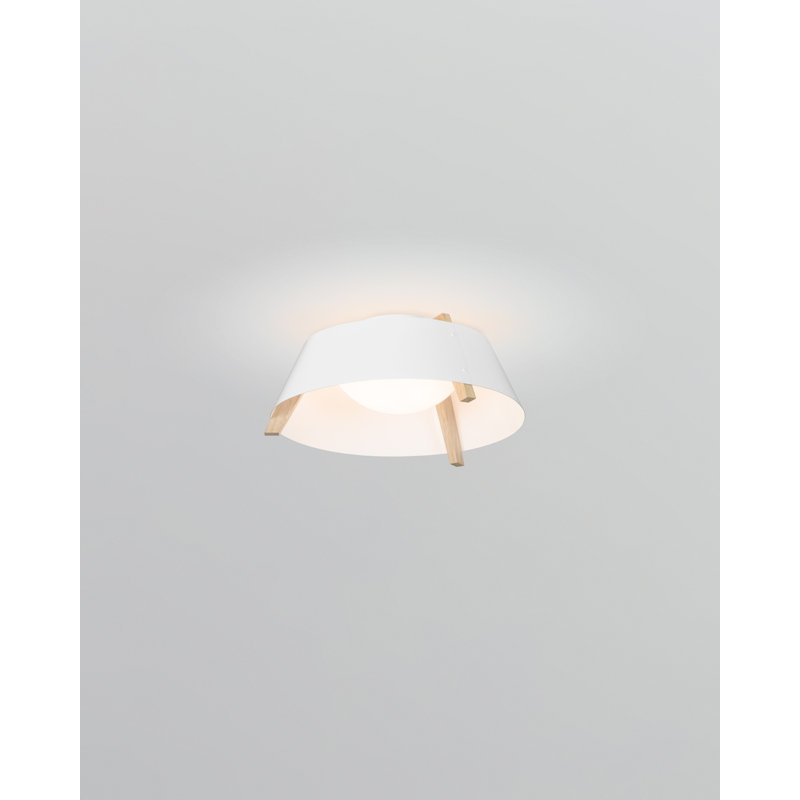 Casia 18" LED Flush Mount, Gloss White, White Washed Oak, 2700 K
