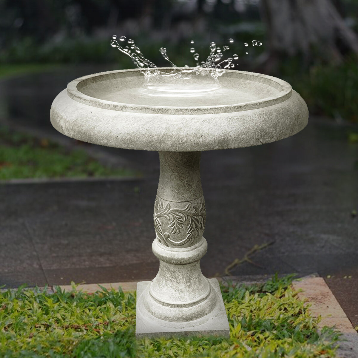 Ophelia Co Allaryce Concrete Birdbath Reviews Wayfair   Allaryce Concrete Birdbath 