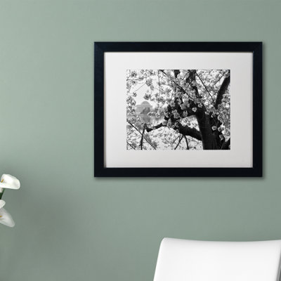 Caliel " Blossoms BW " by CATeyes