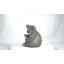 Mère et bébé koala