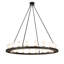 20 - Light Chandelier
