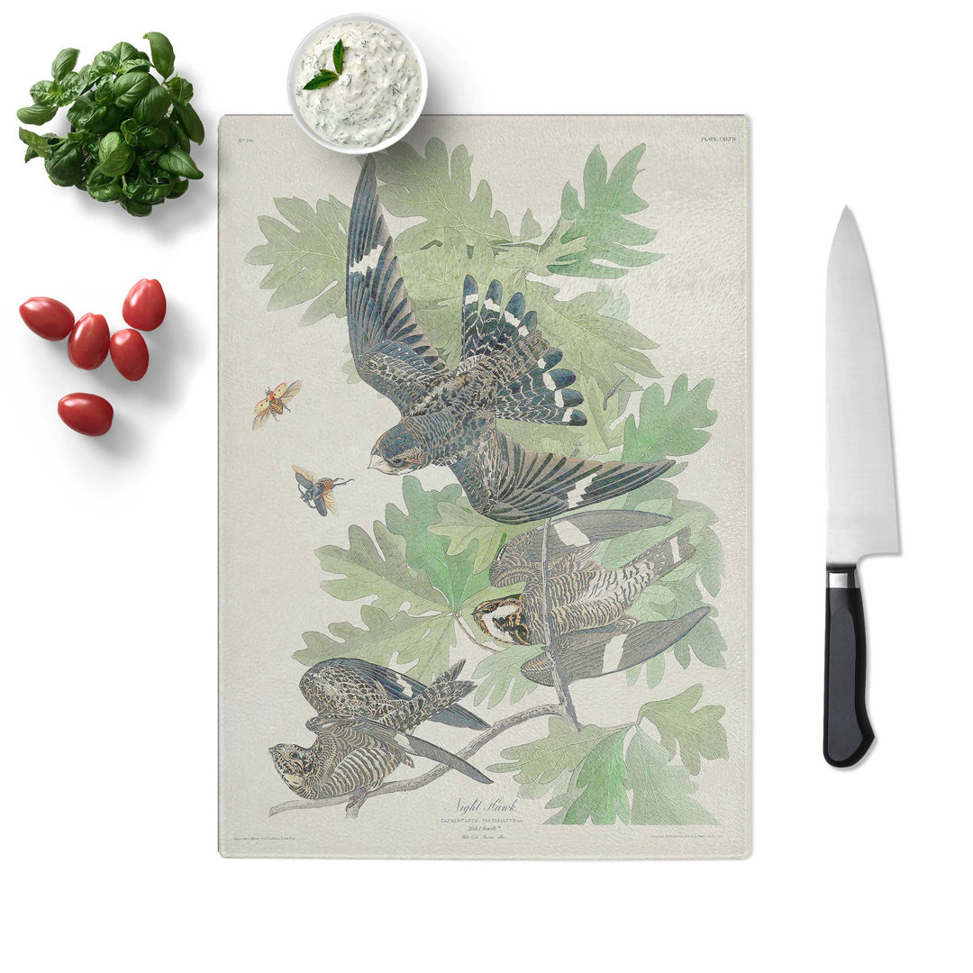 Tempered Glass Night Hawks by John James Audubon Chopping Board