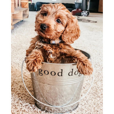 Harry Barker Decorative Bin
