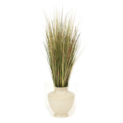 Prairies mixtes dans l’urne