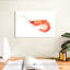Brampt crevette orange-108880516