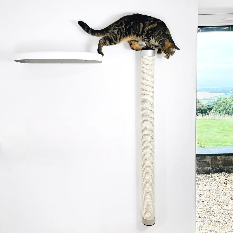 Deemer 115 cm H Cat Scratchers