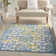 Mappsville Indoor / Outdoor Rug