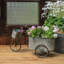 Boîte à fleurs Brouette