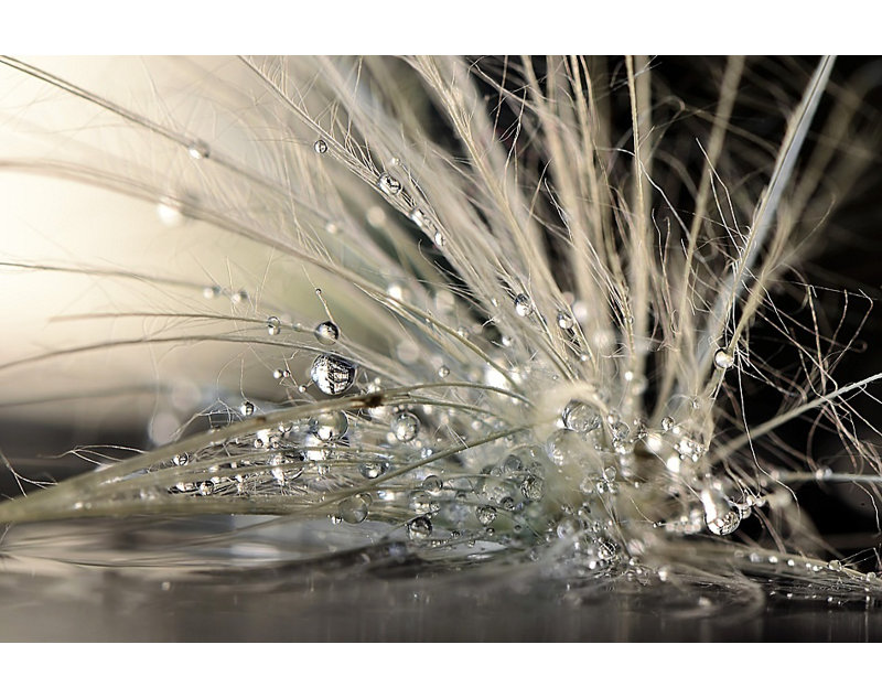 Wrapped Canvas Print, 76.2 cm H x 50.8 cm W