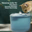 Traskwood 3000ml Pet Fountain