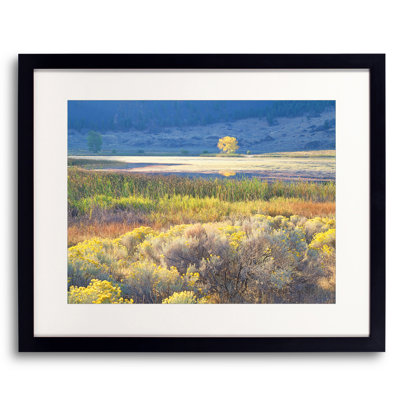 Banks Lake Autumn Meadow Print by Bruce Heinemann
