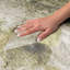 Tapis à poil long de qualité supérieure lavable à la machine ADS536-469810375-469810394