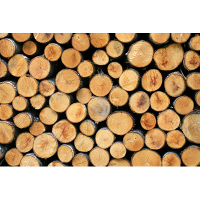 Bois - photographie sur toile tendue