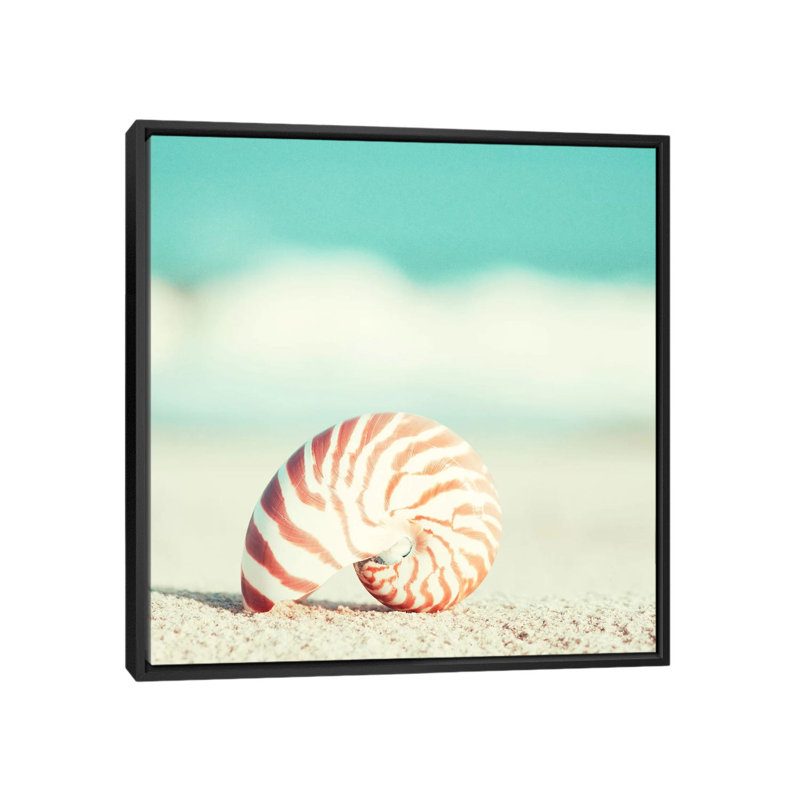 Nautilus, reproduction de photo sur toile tendue, H 18 po x l 18 po x P 1,5 po, Toile avec cadre noir, Pas de tapis