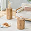 Ensemble de 2 tables basses