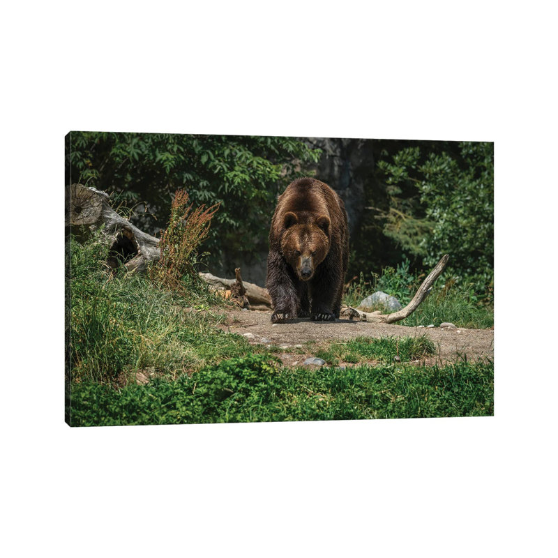 Im Coming For You by Louis Ruth - Wrapped Canvas Print, 66.04cm H x 101.6cm Wx 1.905cm D