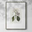 Tropical Botanical IV, reproduction encadrée - bois massif 51191-2040510341