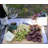 3.5'' Solar Powered Integrated LED Color Changing