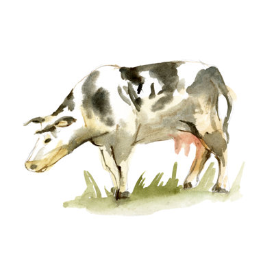 Spotted Cow by Spotted Cow - Wrapped Canvas Print