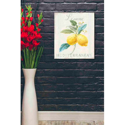 'Floursack Lemon III' by Danhui Nai, Canvas Wall Art
