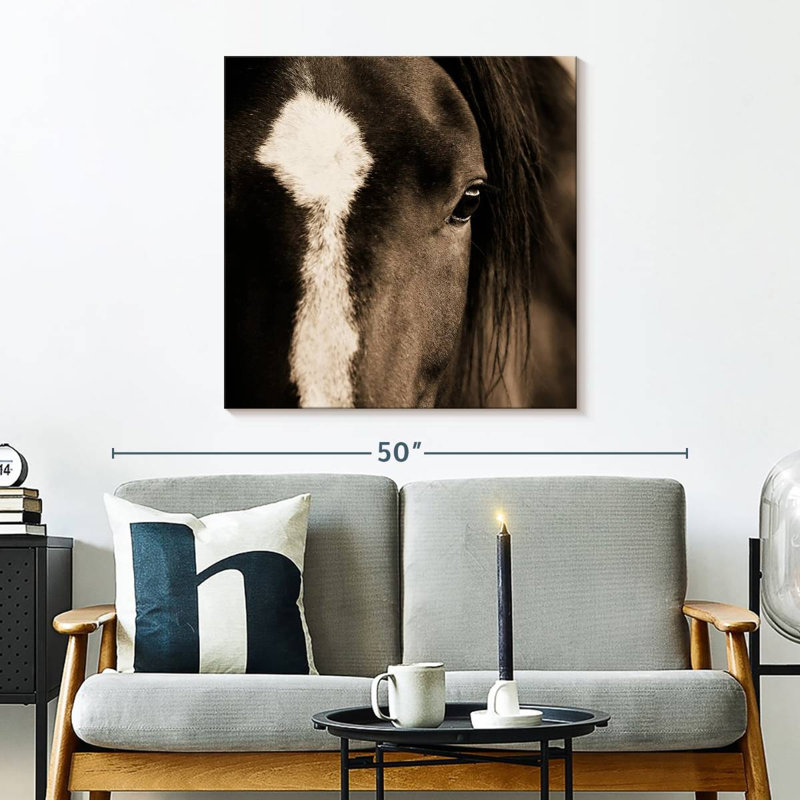 Brampt Dark Eyes, 30'' H x 30'' W