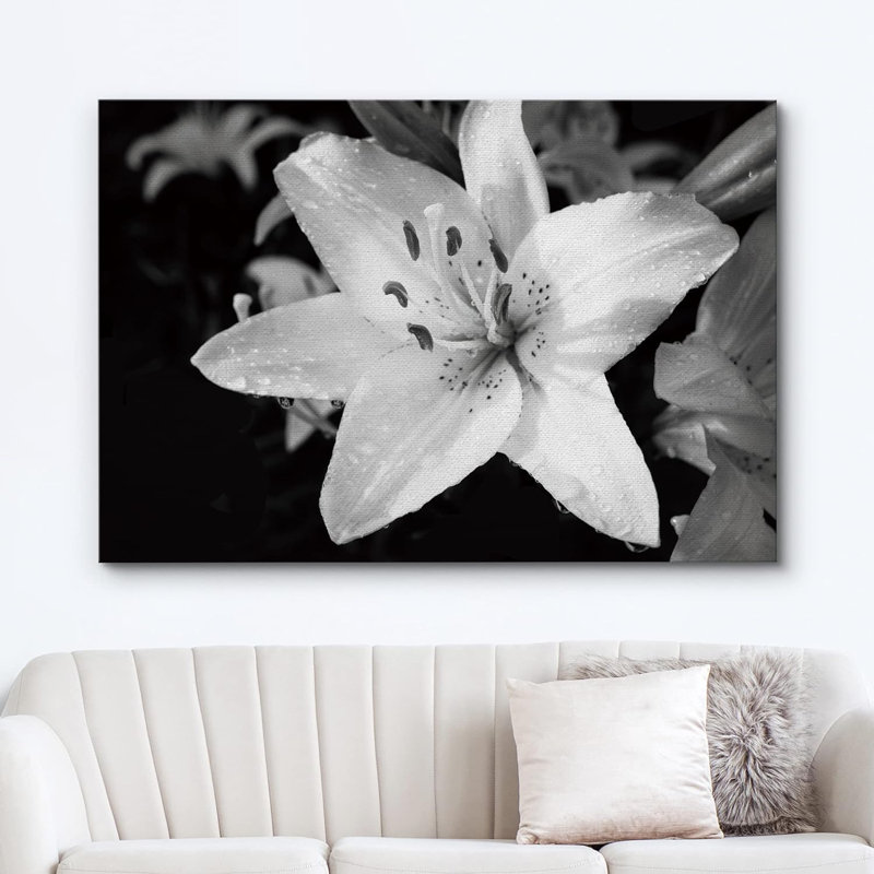 Bouquet de fleurs de lys, plantes florales en noir et blanc, gros plan rustique sur toile, H 24 po x l 36 po x P 1,5 po