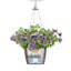 Hanging Planter-16493104-66329965
