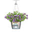 Hanging Planter-66329962-66329966