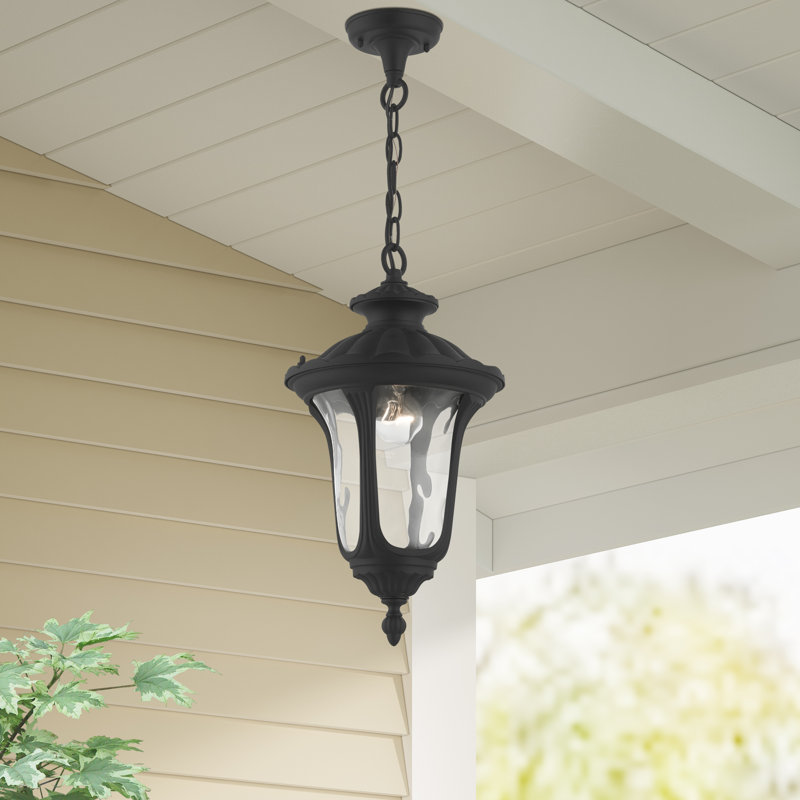 Luminaire suspendu d'extérieur Arelene, H 17,5 po x l 9,5 po, Noir texturé