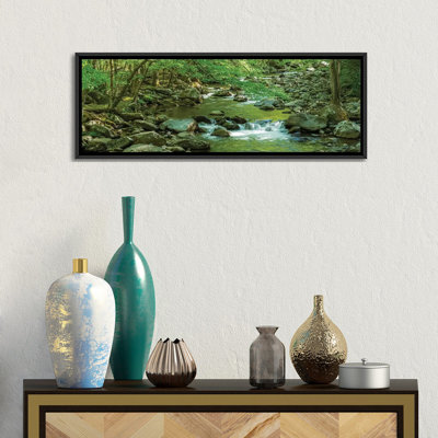 " Flowing Creek, Great Smoky Mountains National Park, Tennessee, USA " Color Photography