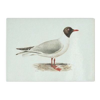 Tempered Glass Male Black-Headed Gull Chopping Board by Von Wright Chopping Board