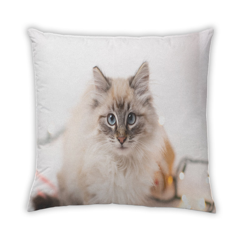 Coussin 14 chats, Synthétique