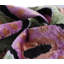 Coussin en velours de soie géométrique vert lilas noir - 16 x 16 fait à la main