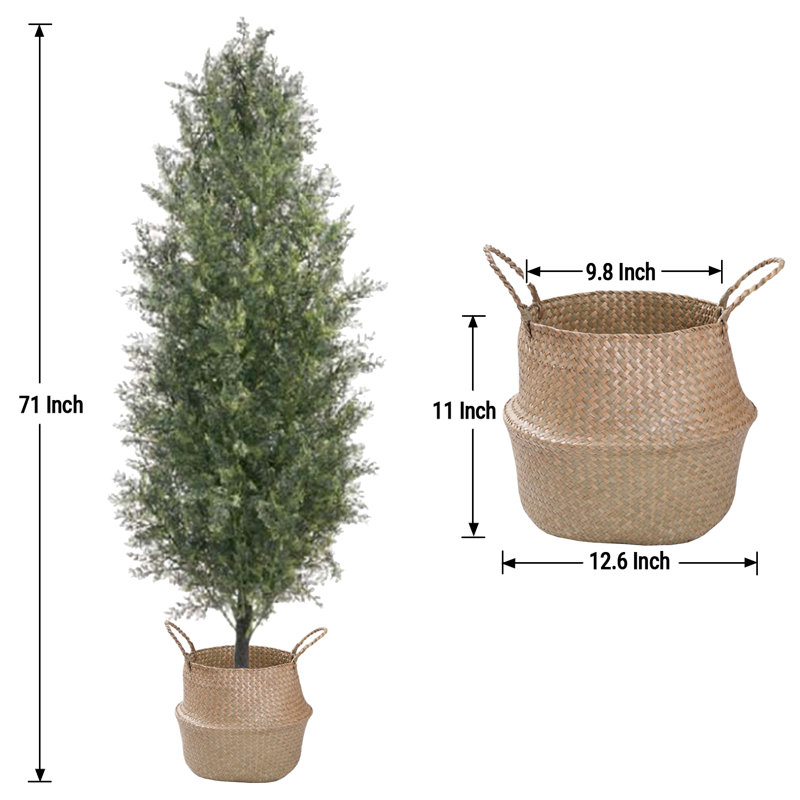 Pot de cyprès artificiel, H 15,75 po x l 70,87 po x P 15,75 po