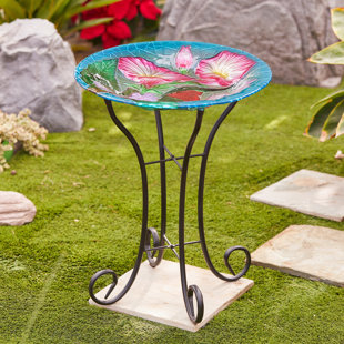 Bain d'oiseaux en verre Colibri