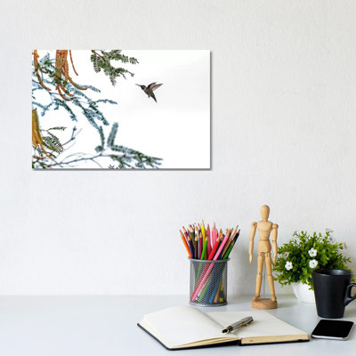 Colibri en vol isolé sur un ciel blanc par Susan Schmitz - impression d'art graphique