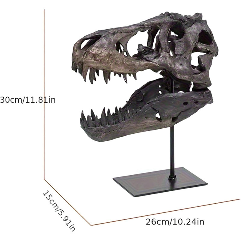 Dinosaur Head Statue Resin Dinosaur Skull Sculpture