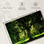 Arbre Harnek-107677809