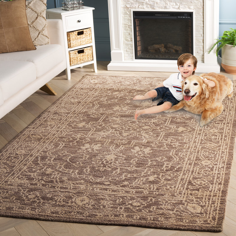 Kenya Brown / Beige Oriental Rug, Rectangle 4' x 6'