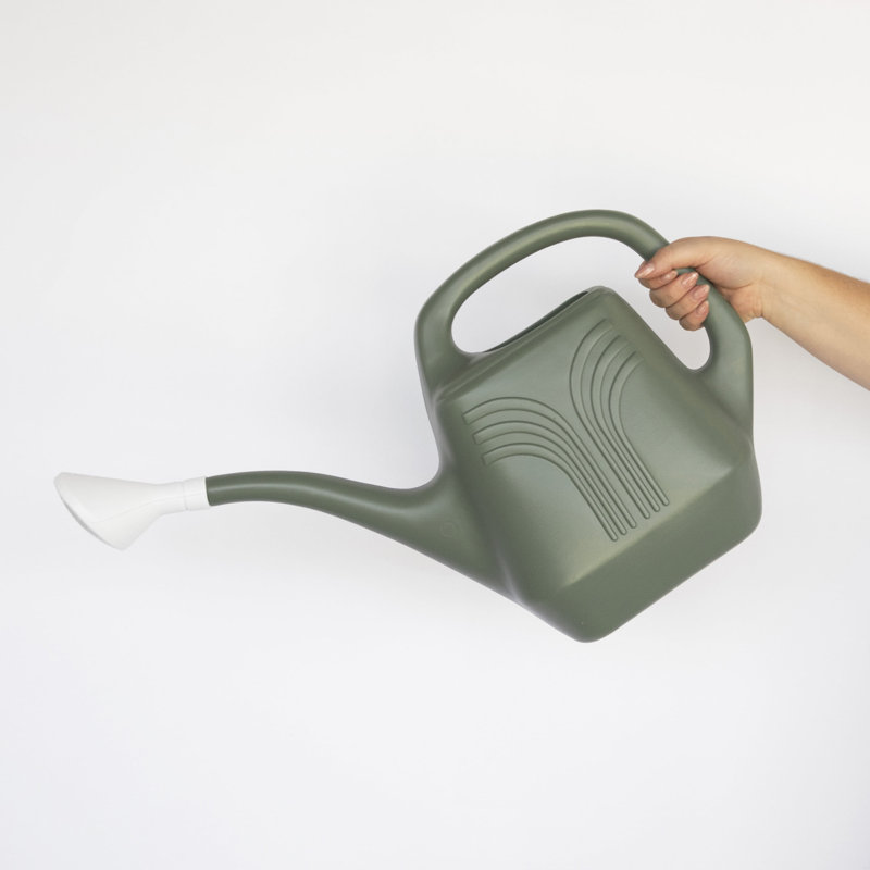 Arrosoir intérieur / extérieur en plastique 2 gallons Promo, Basil