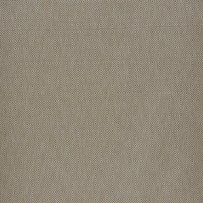 Montane Fabric