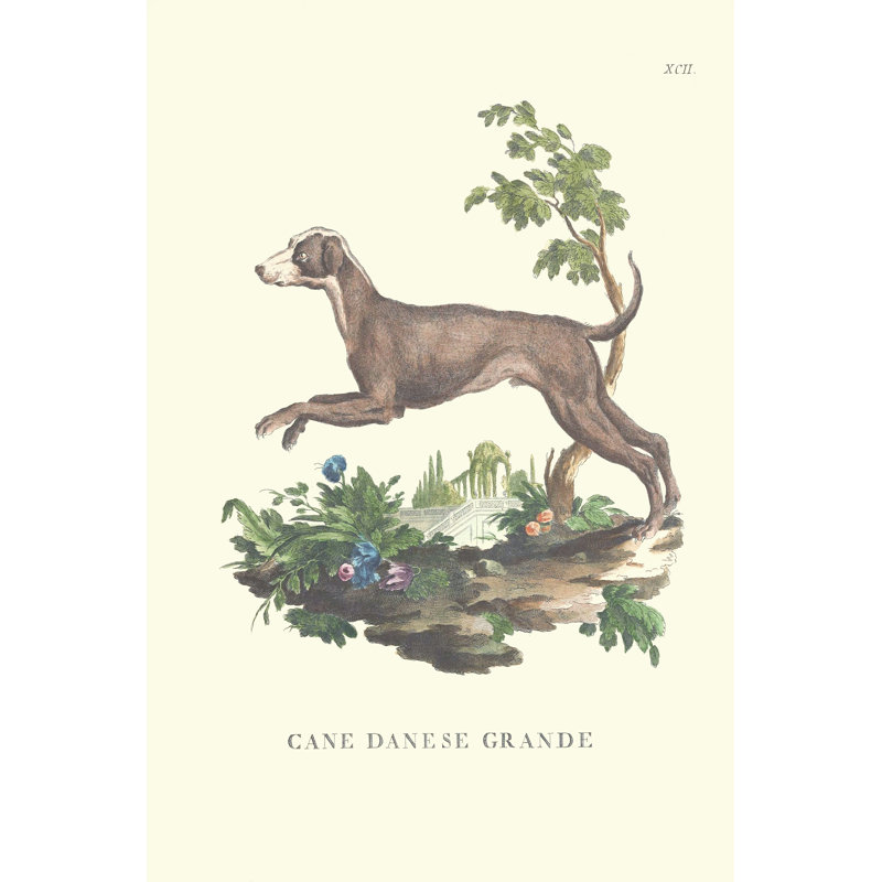 French Dogs I - Wrapped Canvas Painting, 46cm H x 30cm W