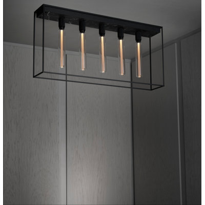 Caged Ceiling 5.0 /