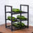 9 Bottle Tabletop Wine Bottle & Glass Rack in Black